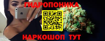 тгк Шахты