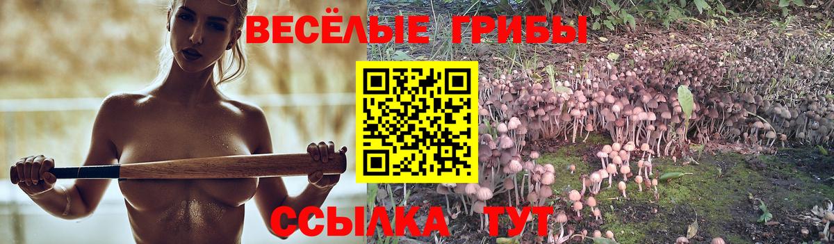Моздок  Псилоцибиновые грибы GOLDEN TEACHER  Вход с VPN 